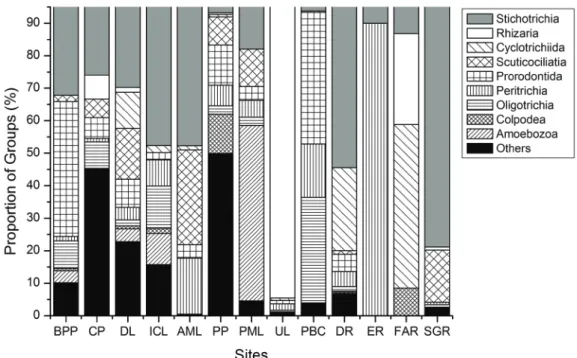Table 4. Protozoan groups found and the number of environments (N.E.) in which they occurred.