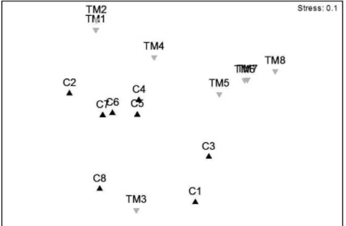 Figure 4. nMDS analysis showing segregation between days of experiment  and the treatments.