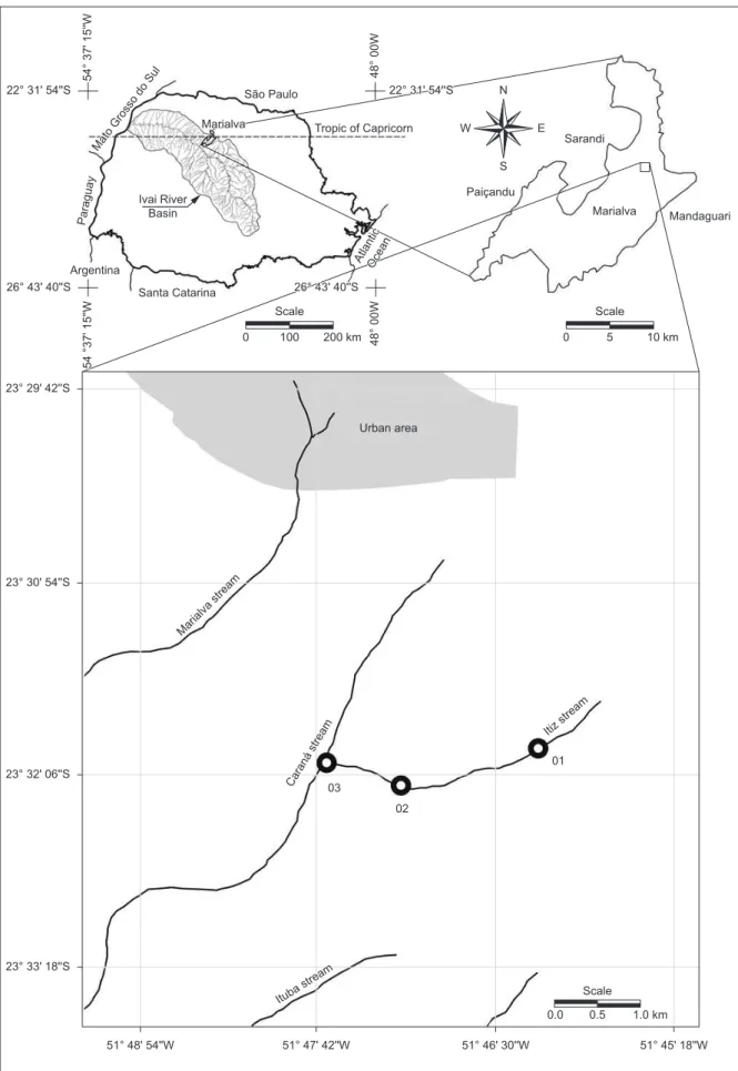 Figure 1. Location of sampling sites along Itiz Stream, Marialva municipality.