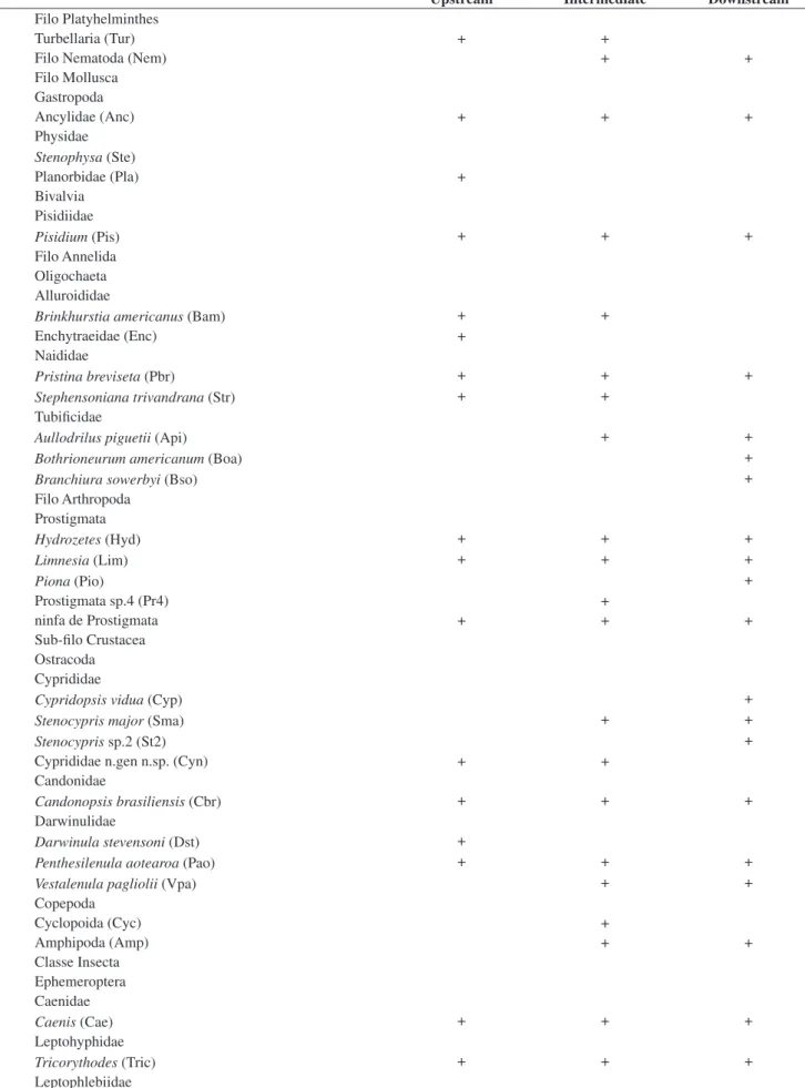 Table 2. Occurrence of benthic invertebrates in Itiz Stream. Taxa abbreviations are in parentheses.