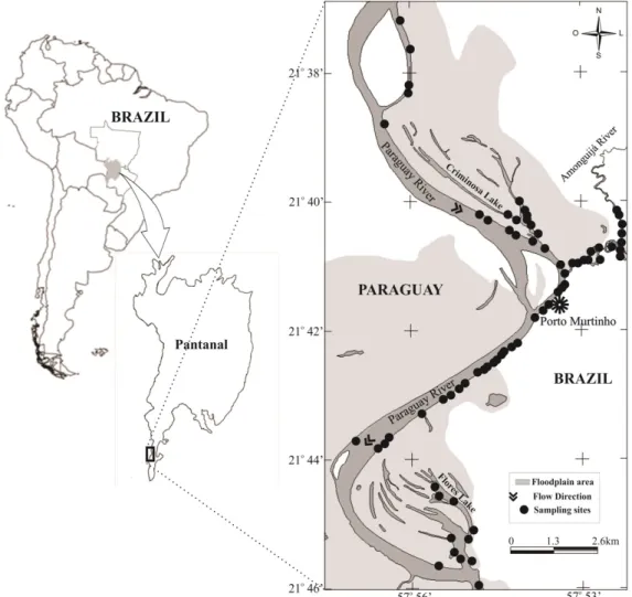 Figure 1. Study area with sampling localities at Porto Murtinho Pantanal, Mato Grosso do Sul, Brazil, from February 2009 through January 2011.