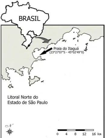 Figura 2- Sistema long-line de cultivo de mexilhão Perna perna (23”27’07 S –         45”02’49 W) Ubatuba, Litoral Norte do Estado de São Paulo