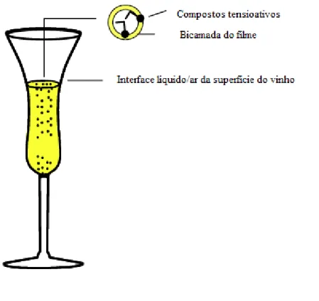 Figura 4 - Esboço da bolha e a representação interface [1]. 