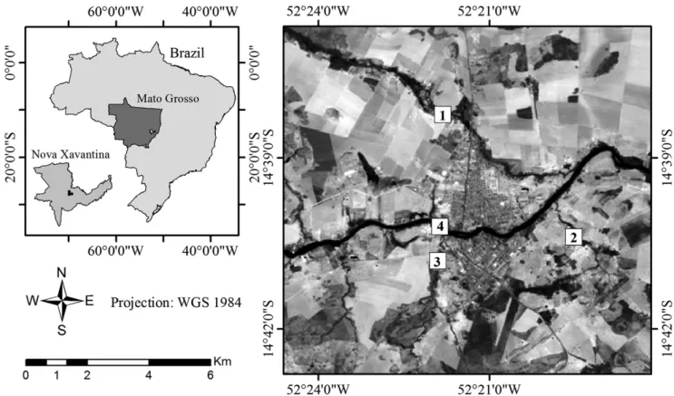 Figure 1. Map of the municipality of Nova Xavantina, state of Mato Grosso, showing the location of the four sites sampled