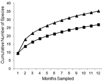 Figure 2. Accumulation curve of bats species (■) calculated using sampling  effort employed during the period of capture and estimated richness (▲) by  nonparametric Jackknife 1 estimator , between January and December 2010, at  four sites representing the
