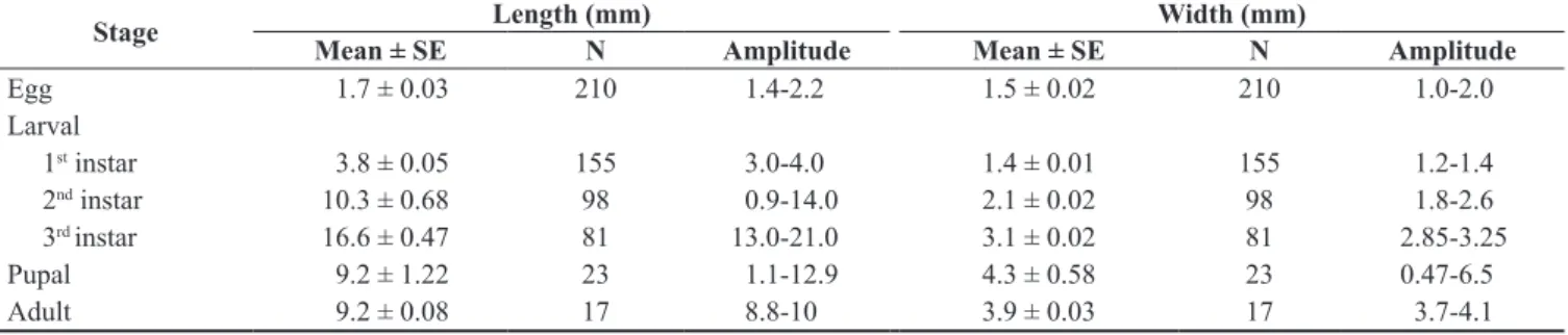 Figure 1. Number of adults of Cyclocephala tucumana collected in trap light from January to December 2009, in Aquidauana, MS.