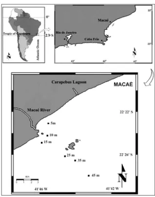 Figure 1. Map of the coast of  Macaé and the position of the  collection sites sampled in Inner Area (5, 10 and 15 m) and  in  Outer Area (25, 35, 45 m)