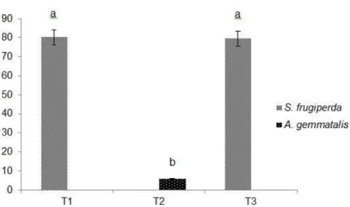 Figura 2. Porcentagem de parasitismo médio (± DP) de Telenomus remus no  hospedeiro natural Spodoptera frugiperda e no hospedeiro alternativo  Anticarsia gemmatalis: T1= chance de escolha: S