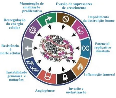 Figura 1- Caraterísticas que as células adquirem para se desenvolver, sobreviver e progredir
