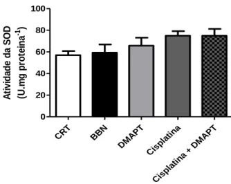 Figura  8  –  Atividade  da  superóxido  dismutase  (SOD),  apresentada  em  unidades  de  atividade  por  minuto  por  miligrama de proteína em sobrenadante de homogeneizados de fígado de murganhos submetidos à exposição do  BBN, DMAPT e cisplatina
