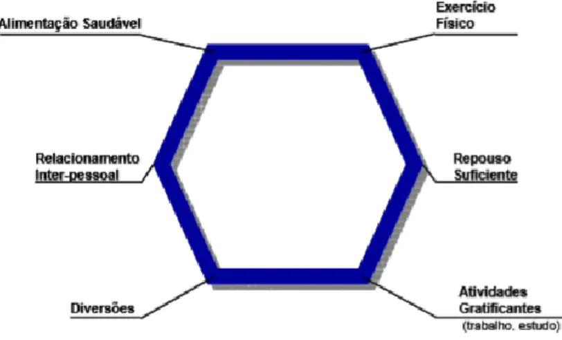 Figura 2 - Hexágono vital 