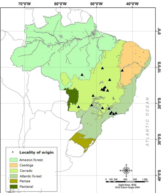 Figure 2. Food category (rodent) of Crotalus durissus from Distrito Federal.