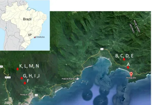 Figure 1. Location of the study areas in the Parque Estadual da Serra do Mar. A= Restinga; B, C, D, E, F= Lowlands Rain Forest; G, H, I, J= Submontane Rain Forest; 