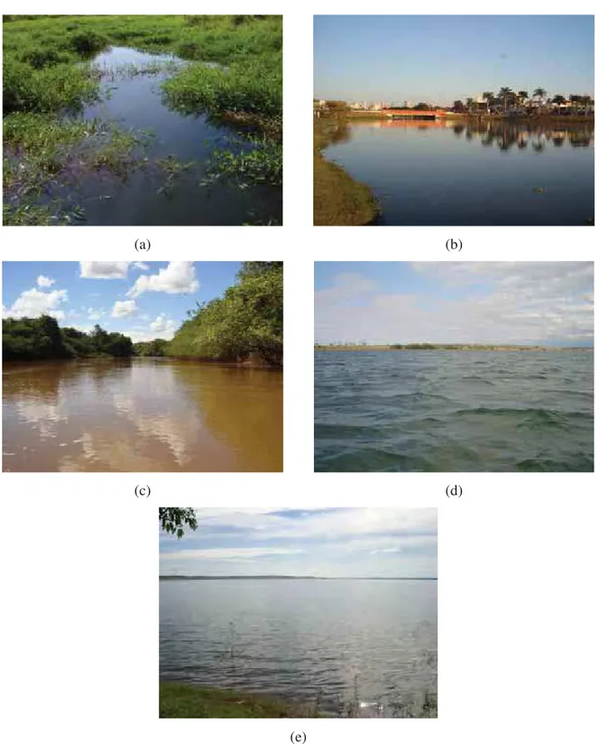 Figura 2. Fotos dos cinco locais de amostragem selecionados ao longo dos rios da BHTG, sendo (a)  NRP, (b) CAPRP, (c) PORTUR, (d) RTURARG e (e) RGRANDE