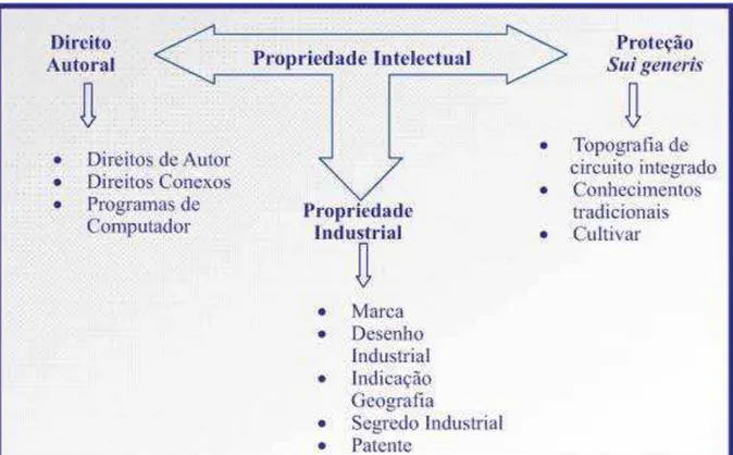 Figura 3 - A Propriedade Intelectual no Brasil dividida em três modalidades: Direito Autoral, Proteção  Sui generis e Propriedade Industrial 