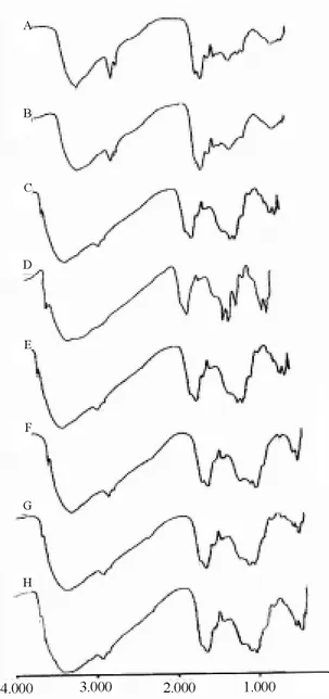 Figura 1. Espectros de infravermelho (cm -1 ) dos ácidos húmicos de composto de resíduos sólidos urbanos (A), de lodo da estação de tratamento de esgotos (B), de Latossolo Vermelho-Amarelo sem (C) e com adição dos resíduos (D e E) e de Argilossolo Vermelho