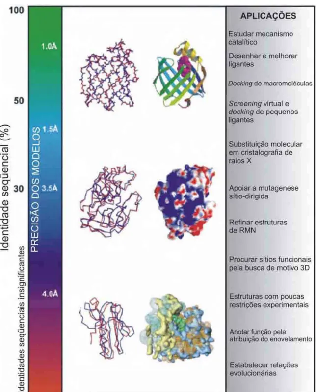 Figura 4. O diagrama acima descreve a precisão e aplicação de modelos estruturais de proteínas.