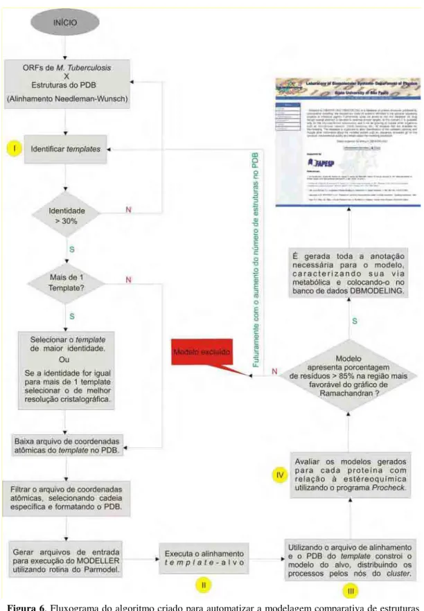 Figura 6. Fluxograma do algoritmo criado para automatizar a modelagem comparativa de estruturas de proteínas, onde os círculos amarelos representam as etapas de modelagem utilizadas no MODELLER (ŠALI &amp; BLUNDELL, 1993).