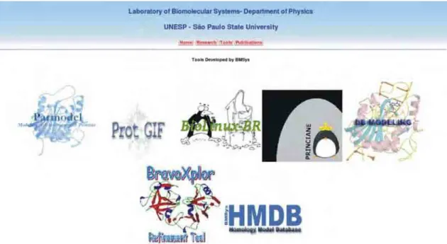 Figura 15.  Interface de entrada para as ferramentas do grupo do Laboratório de Sistemas Biomoleculares  (BMSys)