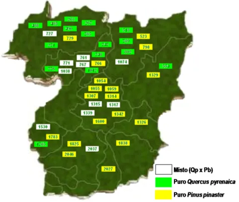 Figura 1 – Localização da área de estudo e das parcelas de amostragem analisadas.