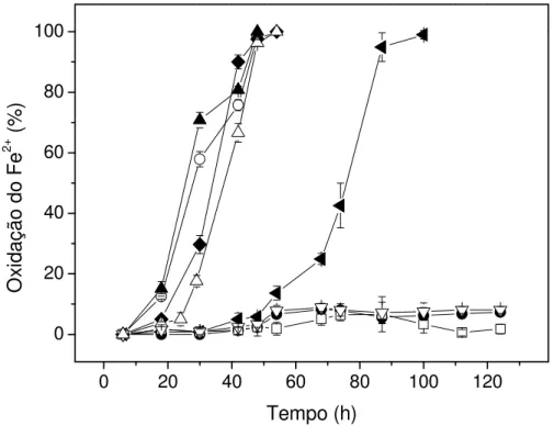 Figura 5. Efeito da concentração de Tween 80 na oxidação do íon ferroso por A. ferrooxidans – LR