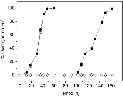 Figura 6: Efeito da concentração do íon prata na oxidação do íon ferroso por A. ferrooxidans- ferrooxidans-LR