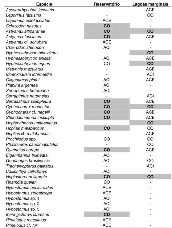 Tabela 5: Constância de ocorrência da ictiofauna do reservatório da usina Mogi Guaçu e lagoas  marginais da fazenda Campininha, durante o período de agosto de 2005 a julho de 2006