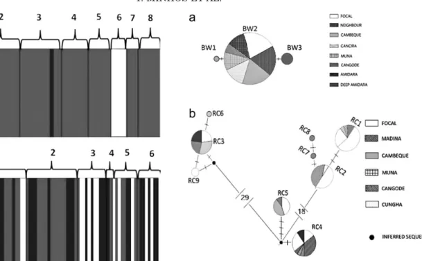 Fig. 3. Haplotype network for black-and-white (a) and red colobus (b) based on mtDNA d-loop sequences