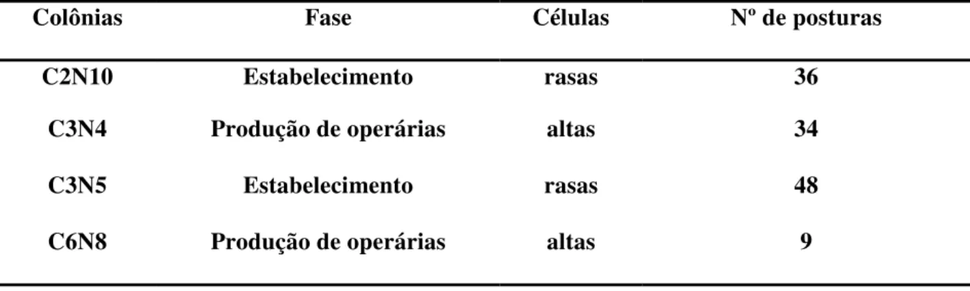 Tabela 2. Características das colônias de S. surinama em que foram realizadas as  amostragens do comportamento de oviposição