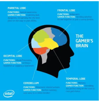 Figure 2: How a Gamer’s brain is supposed to work  Studies confirm the development (at different levels) of visual  acuity,  temporal  processing,  attention  skills,  short  term  or  working memory, fluid intelligence and multitasking – some  lasting for