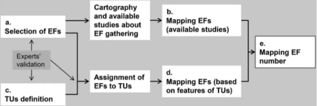 Figure 3. Representation of the proposed methodology to map several EFs (EF, ecosystem function; TUs, territorial units).