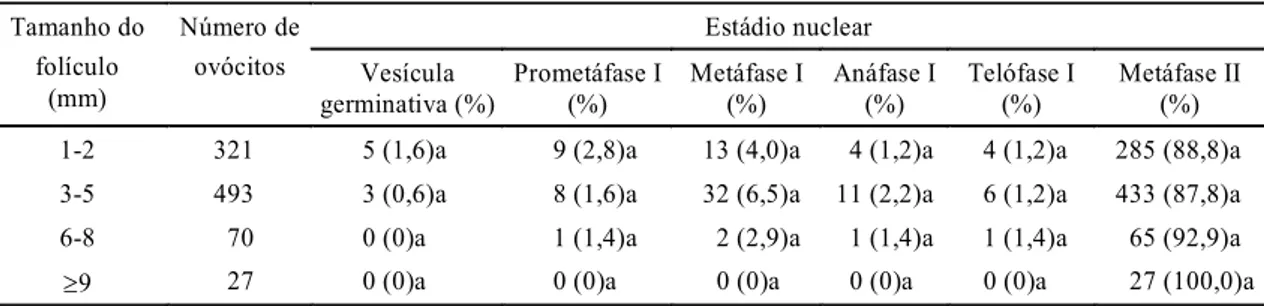 TABELA 3. Número e estádio nuclear dos ovócitos obtidos de diferentes tamanhos de folículos após maturação in vitro  por 24 horas, em vacas Nelore 1 .