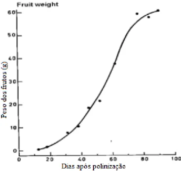 Figura 5 - Curva de crescimento sigmoidal das maçãs. (adaptado de Luckwill,1948). 