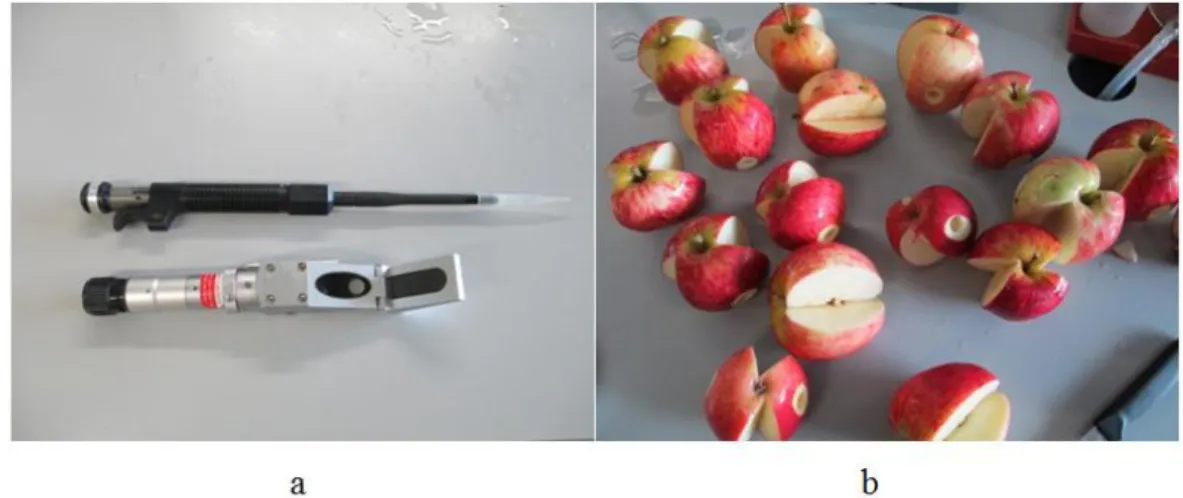 Figura 12 - a) Refratómetro utilizado. b) Corte das maçãs para obtenção do respectivo sumo