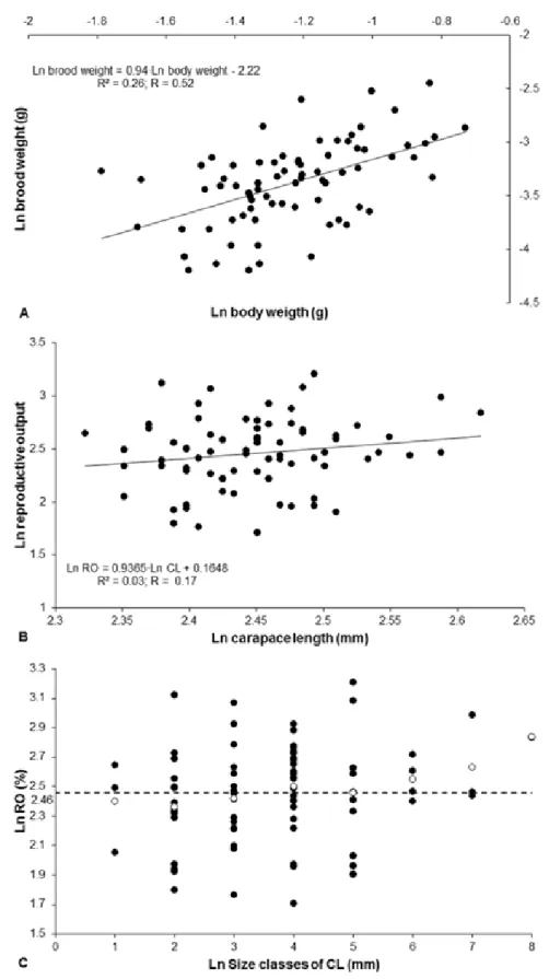 Figure 1 –  Nematopalaemon schmitti (Holthuis, 1950). Reproductive output (RO) by  carapace length (CL), size class and weight