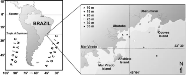Figure 1 - Study area and transect sampling in Ubatuba, north coast of São Paulo,  Brazil