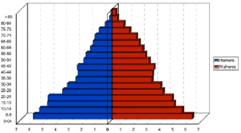 Gráfico 2: Pirâmide etária em 1950 
