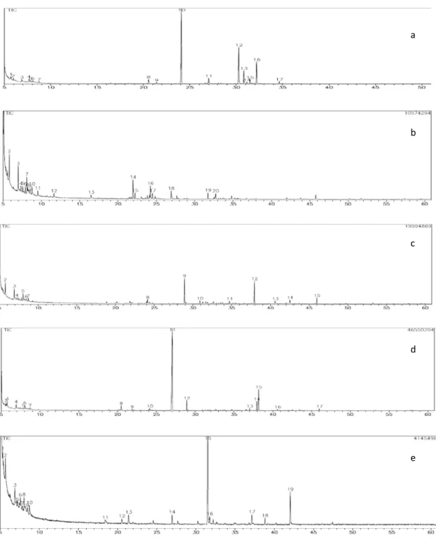 Figura 5. Cromatograma de íons totais das fragrâncias das espécies de Passiflora: (a) P