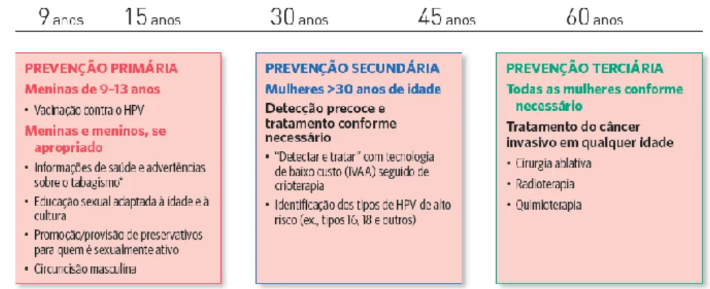Figura 3 – Níveis de Prevenção do CCU 
