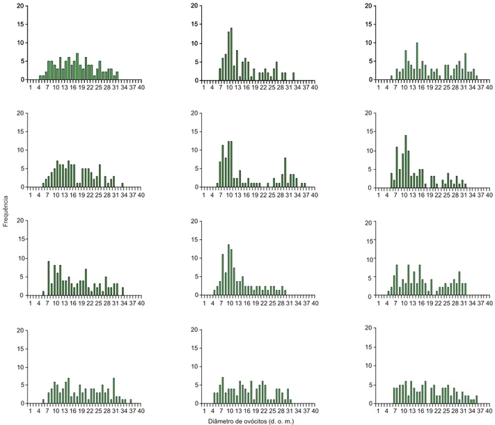 Figure 5. Relative frequency of Corydoras flaveolus individuals in different  states of gonadal development in each sampling (A: immature individuals; 