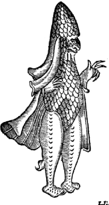 Figure 2.1. One of Ambroise Paré´s sea monsters: “Figure of a marine monster resem- resem-bling a Bishop dressed in his pontifical garments” [8].