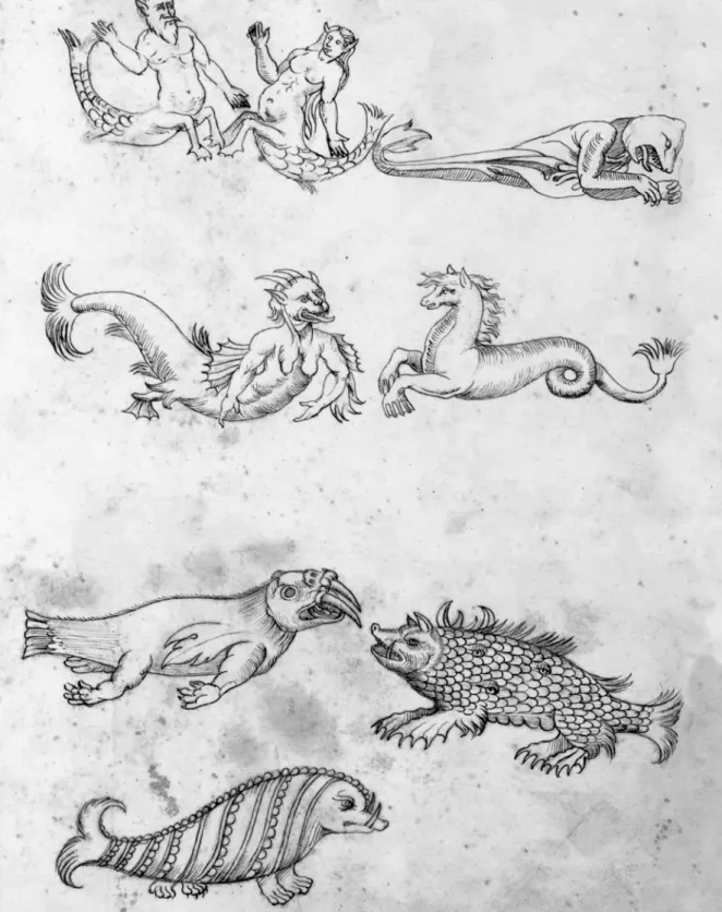Figure 2.2. A panoply of marine monsters. From the “Tavole di animali”, Tavole vol. 006-2  Animali - Fondo Ulisse Aldrovandi - Università di Bologna.