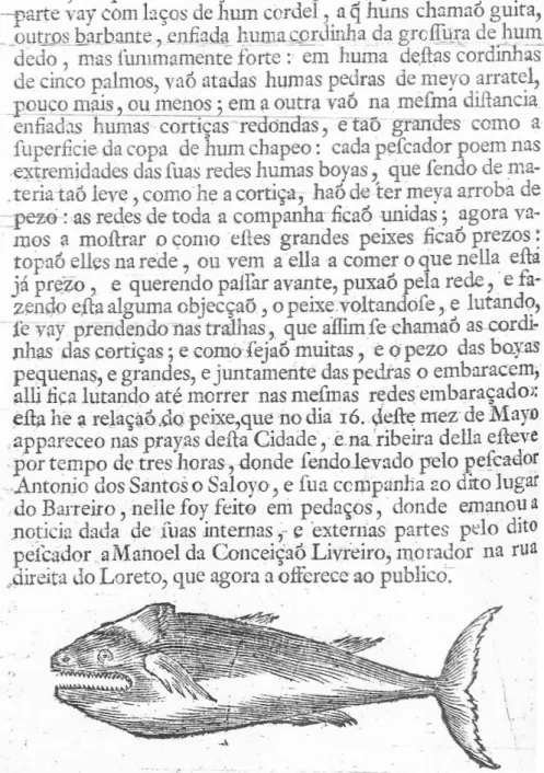 Figure 4.8. Page from the Account of the monstrous fish, which appeared on Tagus  beaches “the 16th May of this year of 1748.” Microfilm copy, National Library Portugal  (BN).