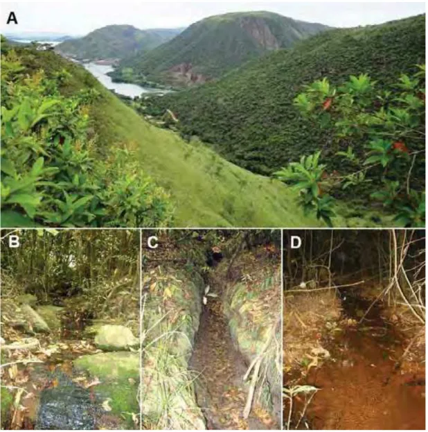 Figura 1. Local de estudo. A) Vista geral, mostrando a represa de Peixoto ao fundo,  município de Sacramento, Minas Gerais; B) riacho permanente 1; C) riacho  temporário (fotografia tirada em mês de seca - agosto); D) riacho permanente 2, onde  formam-se v