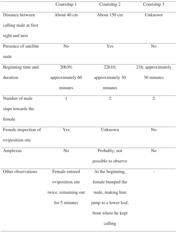 Table 2. Characteristics of the three sequences of courtship behaviour of B. ibitiguara  observed in this study