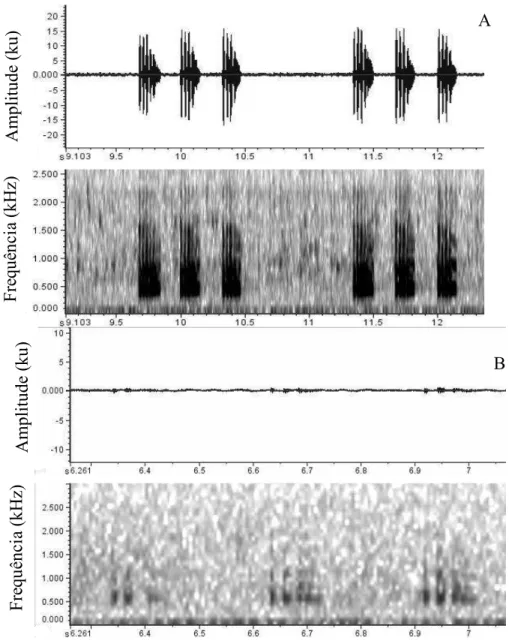 Figura 10. Espectograma (acima) e oscilograma (abaixo) do canto anúncio (A) e corte (B)  de Hypsiboas lundii, município de Sacramento, estado de Minas Gerais, Brasil