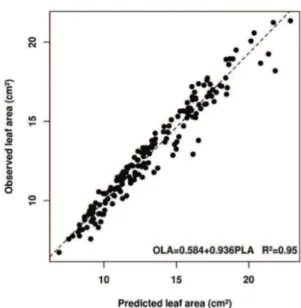 Figure 3. Validation of the model PLA = 0.463 + 0.676LW  for estimating the leaf area of Vernonia  ferruginea  correlating observed leaf area (OLA) vs