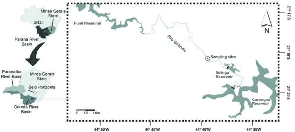 Figure 1. Location of study area on the Rio Grande, Paraná River Basin, southeast Brazil.