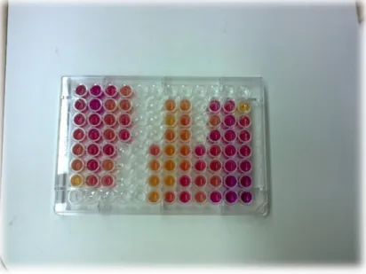 Fig 7: Enzymatic activity determination in microplates.