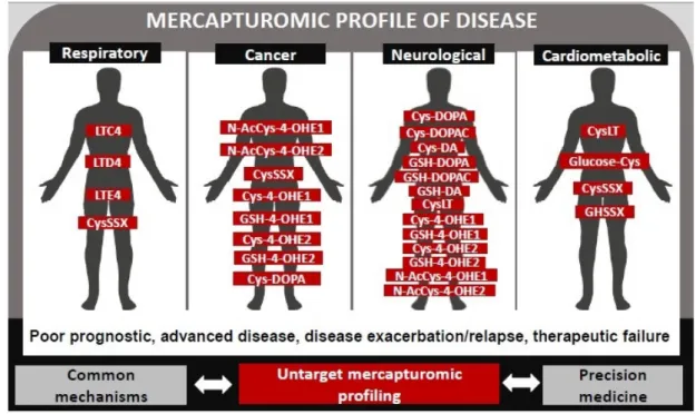 Figure 2. Mercapturomic profile of disease. This profile was defined by reviewing the mercapturate- mercapturate-pathway related metabolites that have already been associated with non-communicable diseases  (prognostic, progression, therapeutic response) i